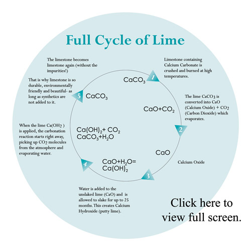 Dimensions-Cycle-of-Lime-Graphic-thumb